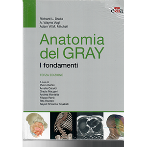 Anatomia del Gray
